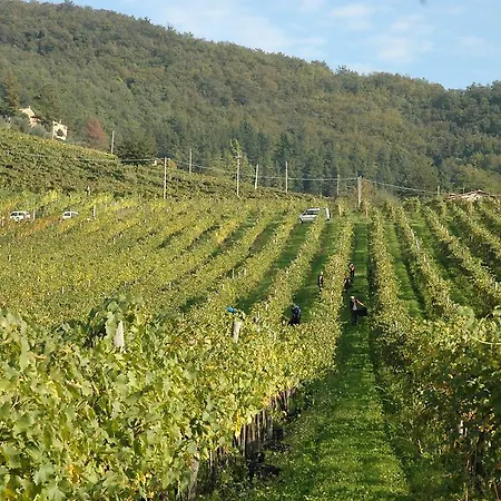 Farm stay Fattoria Il
