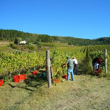 Farm stay Fattoria Il Dicomano